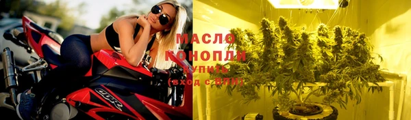 дмт Алексин