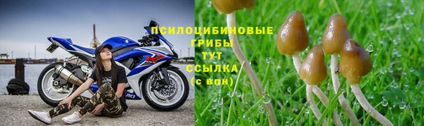 а пвп мука Алексеевка
