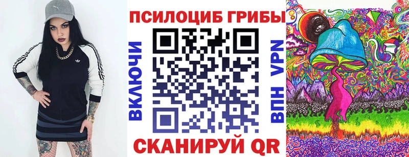 Псилоцибиновые грибы Magic Shrooms ОМГ ОМГ зеркало Тихвин где купить наркотик