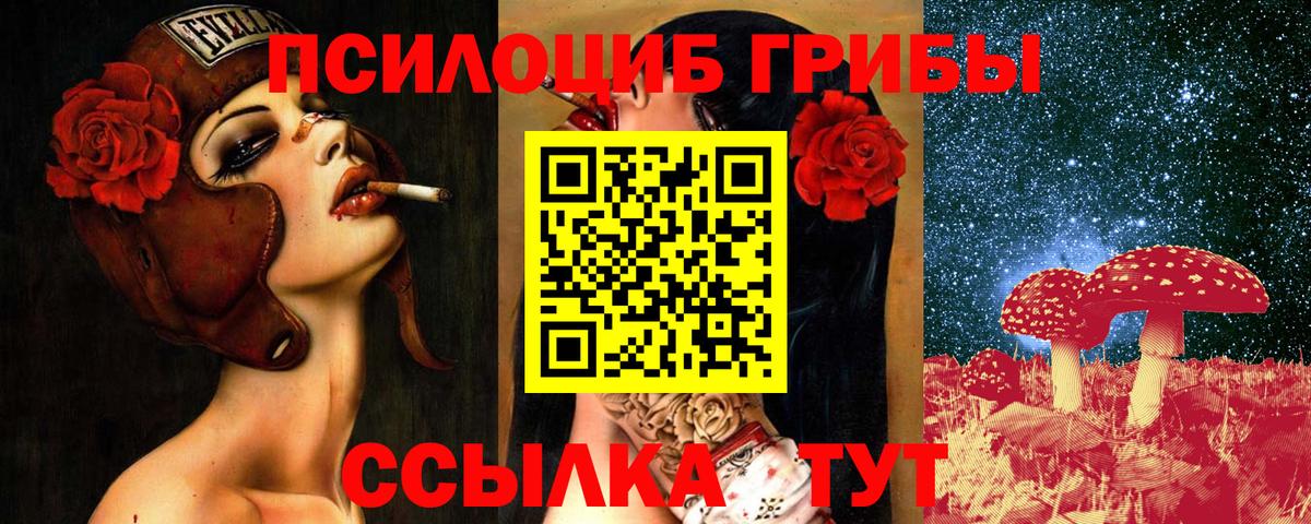 Галлюциногенные грибы GOLDEN TEACHER Тихвин